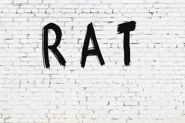 Inschrift Ratte Mit Schwarzer Farbe Auf Weißer Ziegelwand Geschrieben — Stockfoto