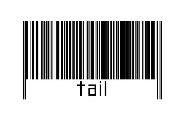 Digitaliseringsconcept Barcode Van Zwarte Horizontale Lijnen Met Daaronder Opschrift Staart — Stockfoto