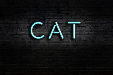 Geceleri duvarda neon levhası var. Yazıt kedisi