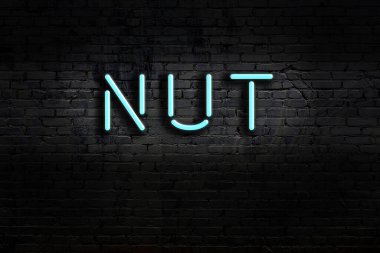 Duvara yazı cevizi yapıştırılmış neon levhası. Gece görünümü