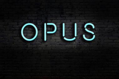 Geceleri duvarda neon levhası var. Yazıt opusu