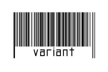 Dijitalleştirme kavramı. Altında yazı varyantı bulunan siyah yatay çizgilerin barkodu.