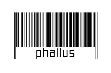 Altında yazıt penisi olan beyaz arka planda bir barkod. Ticaret ve küreselleşme kavramı