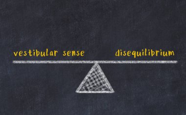 Chalk drawing of scales with words vestibular sense and disequilibrium on black board. Concept of balance