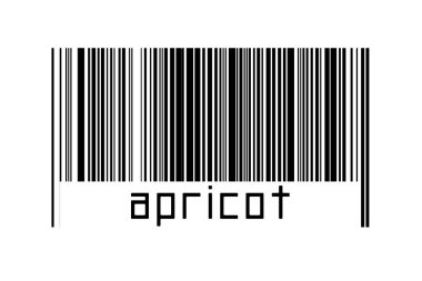 Digitalization concept. Barcode of black horizontal lines with inscription apricot below.