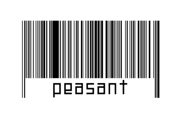 Digitalization Concept Barcode Black Horizontal Lines Inscription Peasant — Stok fotoğraf