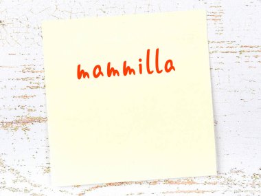 Mammilla 'yı hatırlatma kavramı. Tahta duvarda üzerinde yazı olan sarı yapışkan kağıt.