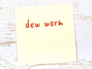 Tahta duvarda el yazısıyla yazılmış çiğ solucanı olan sarı yapışkan bir not.