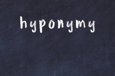 Üzerinde el yazısıyla yazılmış hipotezi olan üniversite yazı tahtası.