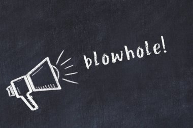 Hoparlör ve yazıt hava deliği çizimli siyah karatahta