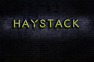 Duvara yazı kazınmış neon tabela. Gece görünümü