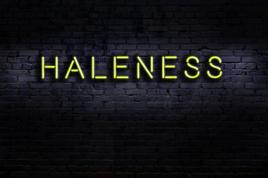 Duvara yazı yazılmış neon levhası. Gece görünümü