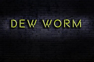 Duvarda çiğ solucanı yazılı neon levhası. Gece görünümü