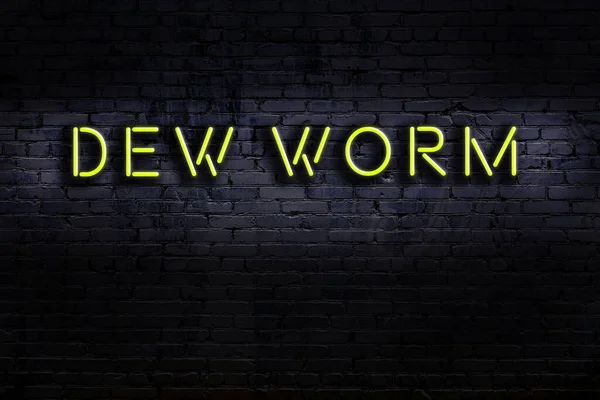 Duvarda çiğ solucanı yazılı neon levhası. Gece görünümü