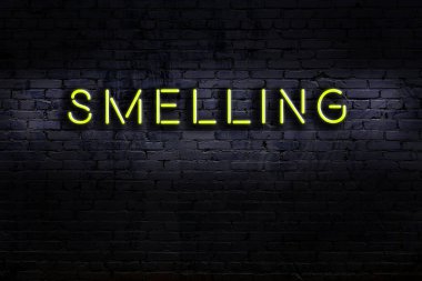 Geceleri duvarda neon levhası var. Yazı kokusu.