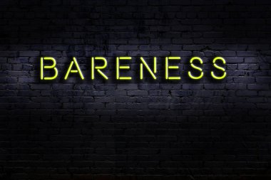 Üzerinde tuğla duvara karşı çıplak yazı olan neon tabela. Gece görünümü