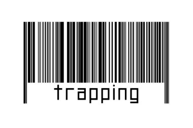 Dijitalleştirme kavramı. Altında yazı olan siyah yatay çizgilerin barkodu.