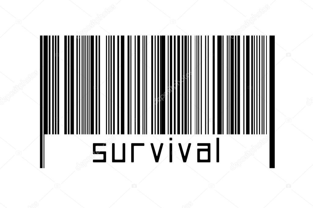 Barcode on white background with inscription survival below. Concept of trading and globalization