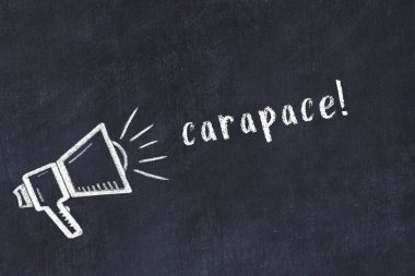 Üzerinde hoparlör ve yazı karakteri olan siyah karatahta.