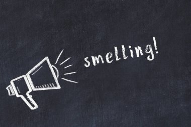 Hoparlörün tebeşir çizimi ve siyah masada el yazısıyla yazılmış yazı kokusu.