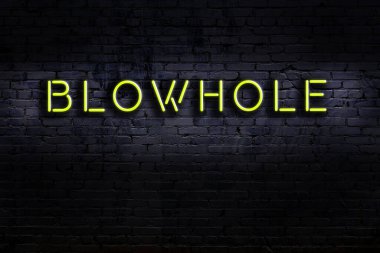 Duvara yazı yazan neon levhası. Gece görünümü