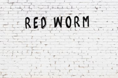 Beyaz tuğlalı duvar. Üzerinde siyah boya ile yazılmış kırmızı solucan var.