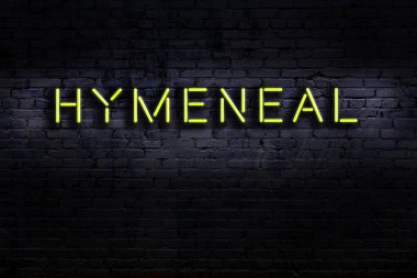 Duvarda kızlık zarının yazılı olduğu neon levhası. Gece görünümü