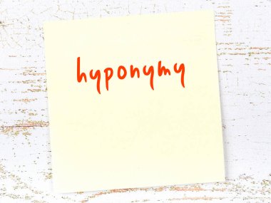 Hiponimi hatırlatma anlayışı. Tahta duvarda üzerinde yazı olan sarı yapışkan kağıt.