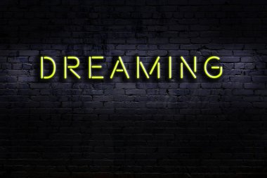 Geceleri duvarda neon levhası var. Yazı rüyası