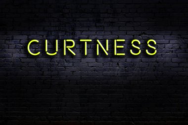 Tuğla duvara karşı yazıtsal eğilme olan neon tabela. Gece görünümü