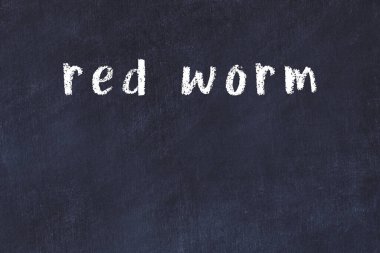 Üzerinde el yazısıyla yazılmış kırmızı bir solucan olan üniversite yazı tahtası.