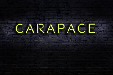 Geceleri duvarda neon levhası var. Yazı karakteri