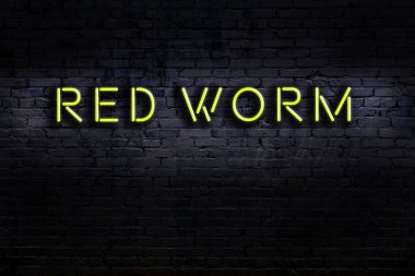 Geceleri duvarda neon levhası var. Yazı kırmızı solucan.