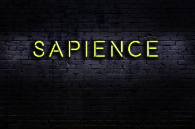 Duvara yazı sapience yazılı neon levhası. Gece görünümü