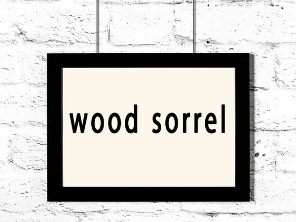 Black Wooden Frame Inscription Wood Sorrel Hanging White Brick Wall — Stock Photo, Image