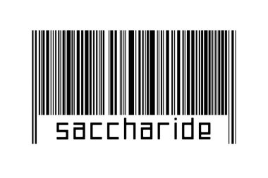 Dijitalleştirme kavramı. Altında kutsal kitap bulunan siyah yatay çizgilerin barkodu.