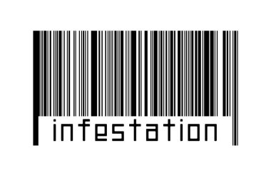 Dijitalleştirme kavramı. Altında yazıt istilası bulunan siyah yatay çizgilerin barkodu.