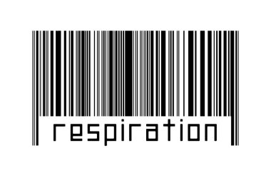 Dijitalleştirme kavramı. Altında yazı solunumu bulunan siyah yatay çizgilerin barkodu.