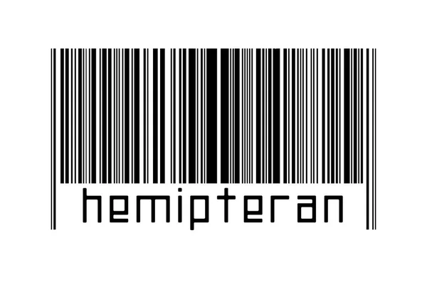 Digitalisierungskonzept Barcode Schwarzer Horizontaler Linien Mit Inschrift Hemipteran Unten — Stockfoto