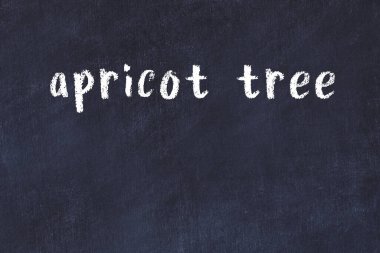 Tarayıcı penceresini başlık kayısı ağacıyla kapatılıyor. Tebeşir çizimi. Sorunlarla başa çıkma kavramı