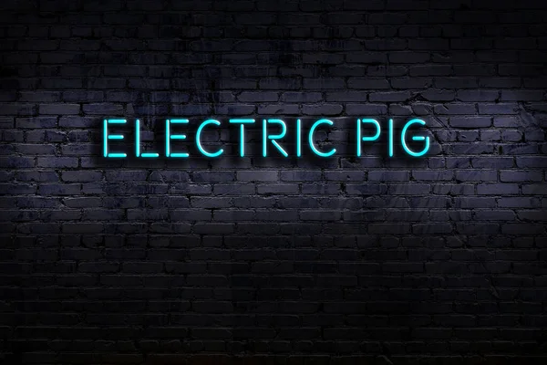 Neonový Nápis Cihlové Zdi Noci Inscription Electric Pig — Stock fotografie