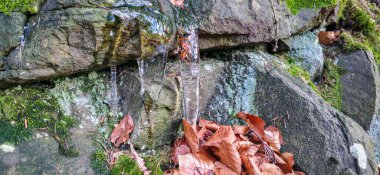 Polonya 'daki Sudetes Dağı kayaları, buzdan sonra buz saçakları ve buzlarla çevrili. Sonbaharda yapraklarla kaplı dağ manzaraları. Yüksek kalite fotoğraf