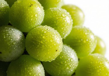 Photorealistic campfire marshmallows roasting created using AI