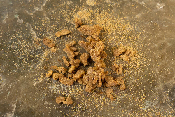 Cat vomit on a wooden floor near cabinet base. photo of vomited cat food covered in ants. 