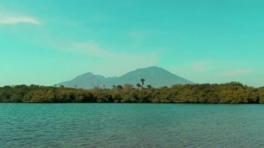 Endonezya 'daki Baluran Ulusal Parkı bölgesinde yaz aylarında mangrov ormanları ve dağları olan güzel bir sahil manzarası..