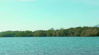 Endonezya 'daki Baluran Ulusal Parkı bölgesinde yaz aylarında mangrov ormanları ve dağları olan güzel bir sahil manzarası..