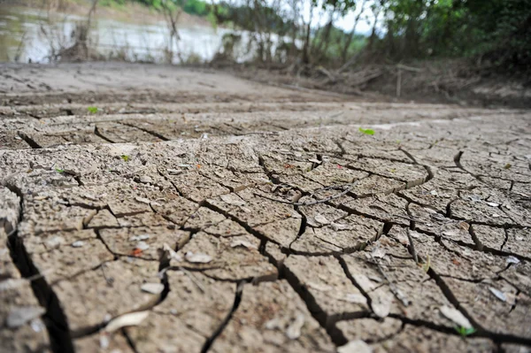 Land met droge gebarsten grond — Stockfoto