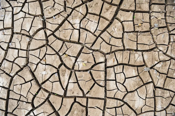 Terra com terra seca rachada — Fotografia de Stock