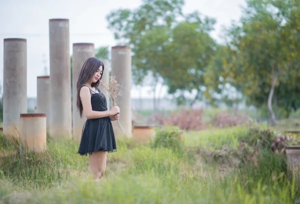 Asiática chica en un prado, noches de luz —  Fotos de Stock