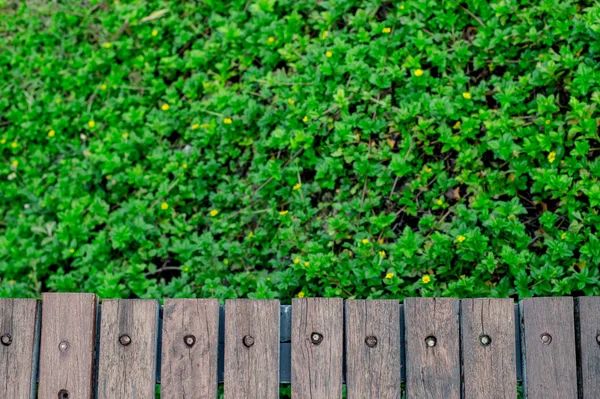 ahşap duvar arkasında ağaç arka plan